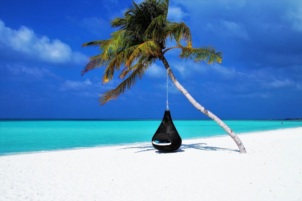 maldives palm tree hammock beach 3220702